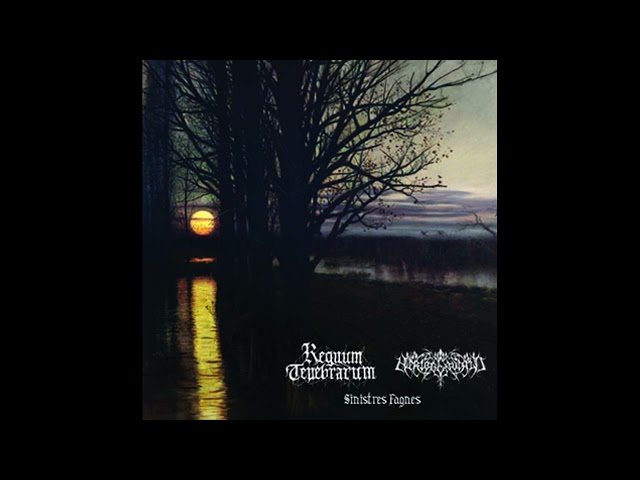 Regnum Tenebrarum / Hertogenwald (Belgium/International) - Sinistres Fagnes (Split 2024)