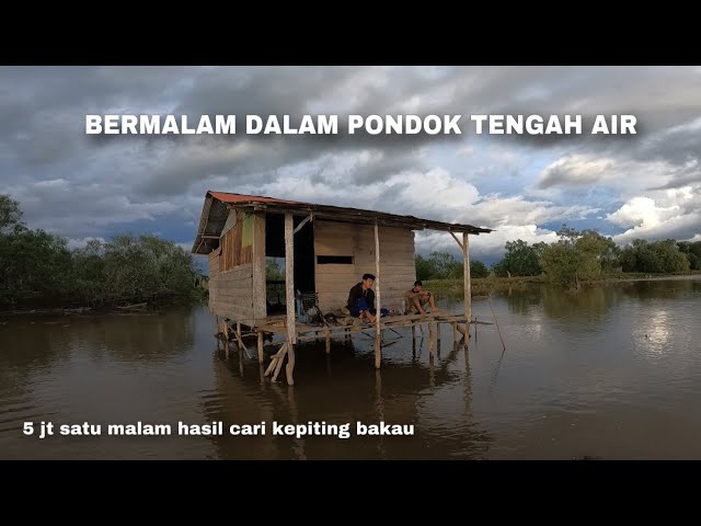 1 HARI BERMALAM DI PONDOK DITENGAH AIR  - BERBURU KEPITING & KERANG LANGSUNG DI MASAK