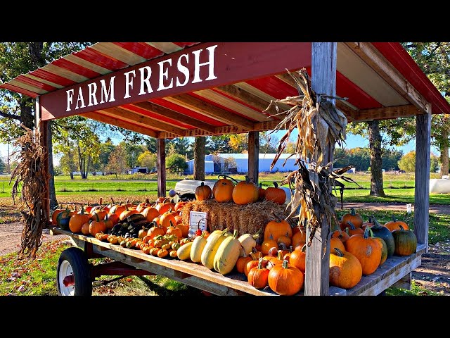 Roadside Vegetable Farmstand Setup | Honor System