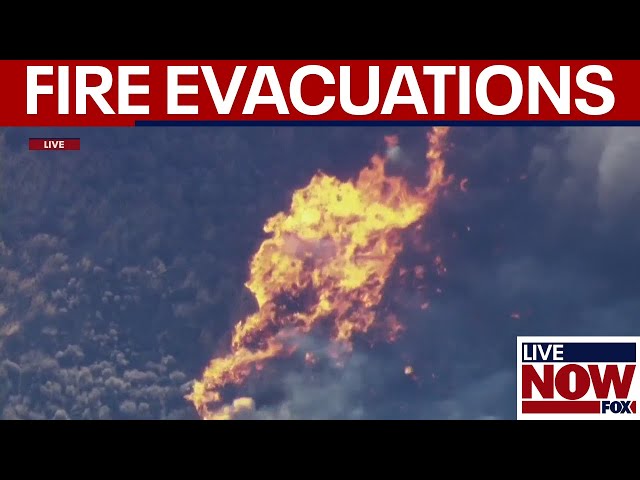 BREAKING: New wildfire sparks evacuations in California | LiveNOW from FOX