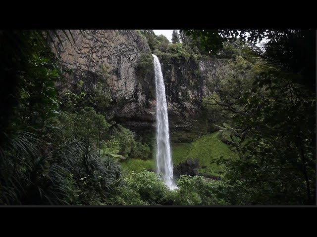 Soothing Water Fall, Relaxing Sleep Music, Stress Relief, Meditation Music Relax Mind Body 1 Hour