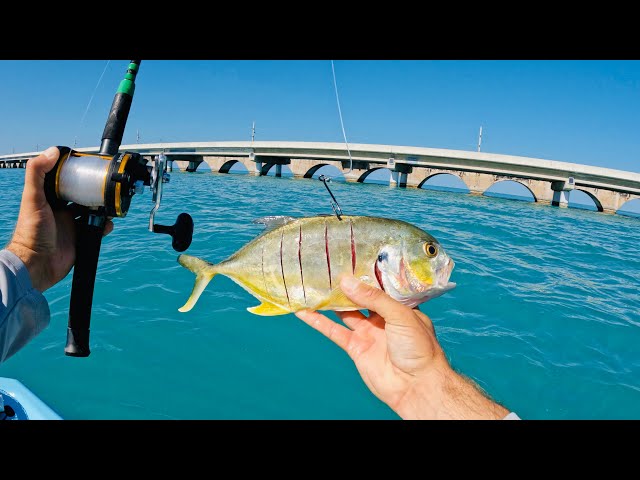 4 Hours of RAW and UNCUT Florida Keys Shark Fishing | Channel Two Bridge