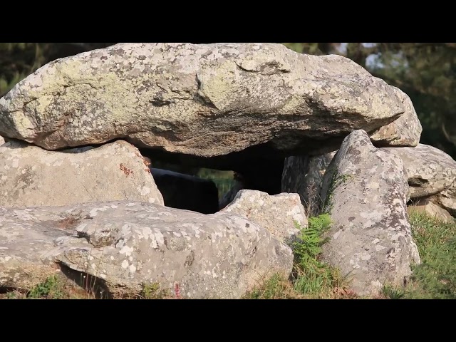 Carnac Stones Megalithic Field