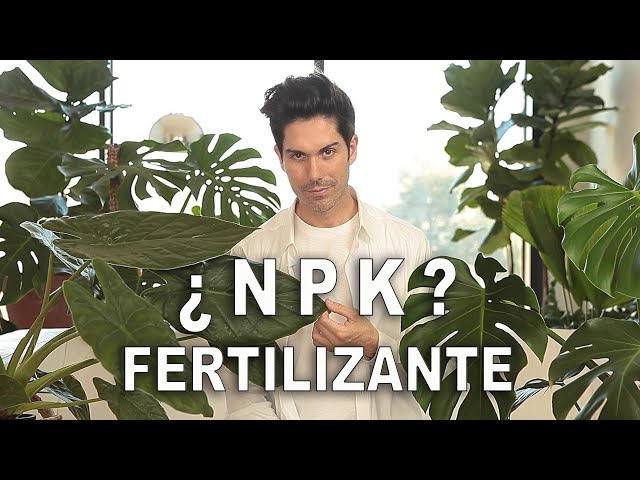 ¡como CUIDAR tus PLANTAS de INTERIOR! sobre el  FERTILIZANTE (NPK) + nuevo proyecto