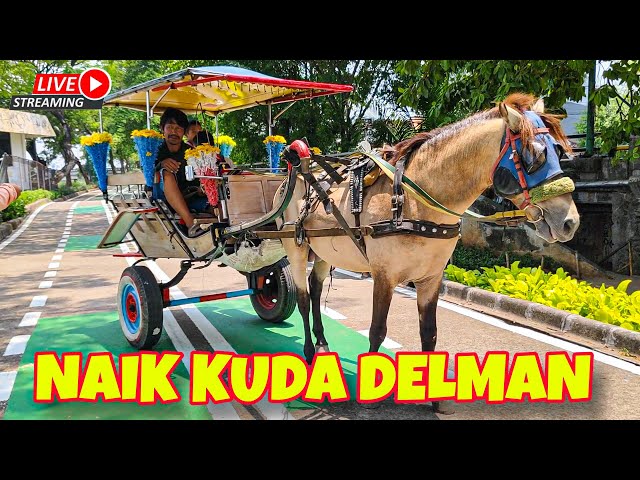 KUDA - KUDA DELMAN |  NAIK DELMAN | LAGU AJOJING TERBARU- kuda delman indonesia