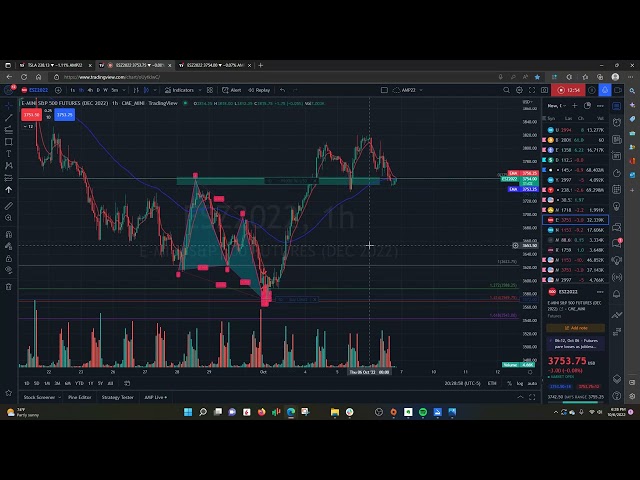 25K$ to 100$K using AMP Futures and Harmonic patterns