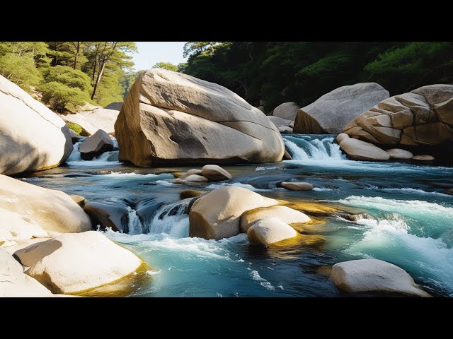 Fall Asleep Instantly by The Fast Flowing Forest River - Water Flowing Over the Rocks