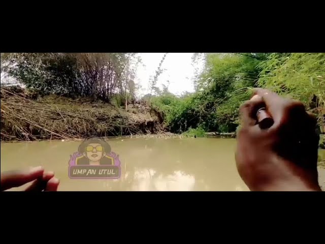 Micro fishing part 4 - mancing wader pakai joran bambu super lentur