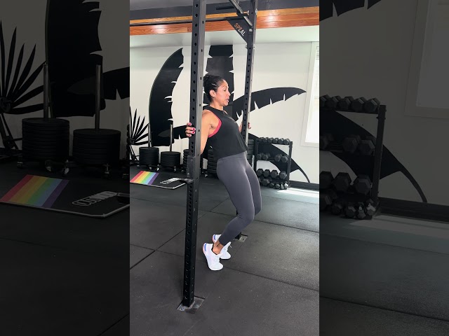 Supported Sissy Squat