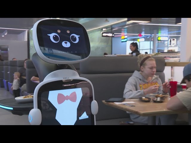 High Point restaurant now has robot servers