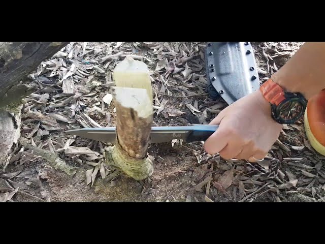 WorkTuffGear : Nomad Field Knife Outdoor Test