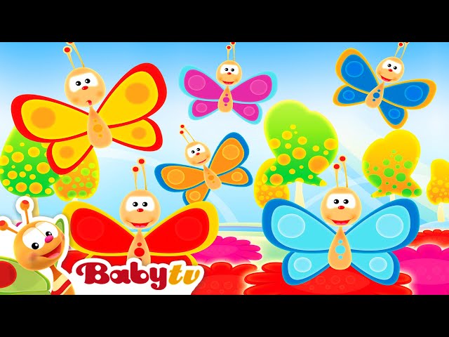 Mariposas 🦋​🦋​ | Clásicos inolvidables | Canciones infantiles 🎵 @BabyTVSP