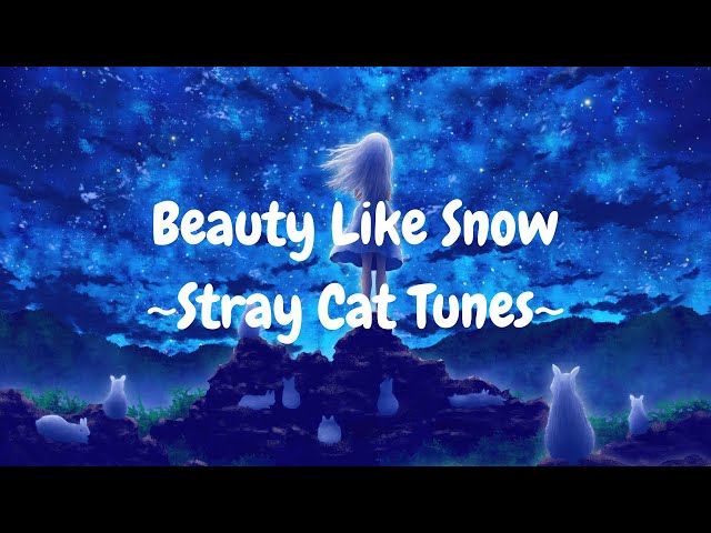 Beauty Like Snow - Stray Cat Tunes | Original Song