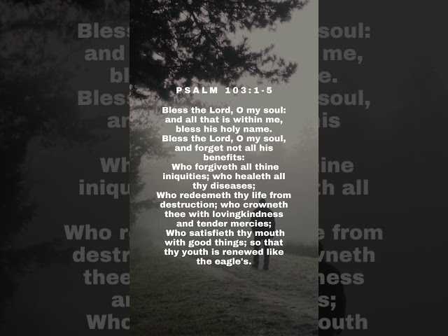 Bless the Lord, O my Soul #bibleverseoftheday #biblepassages #bible #godmessgefortoday #godiswithyou