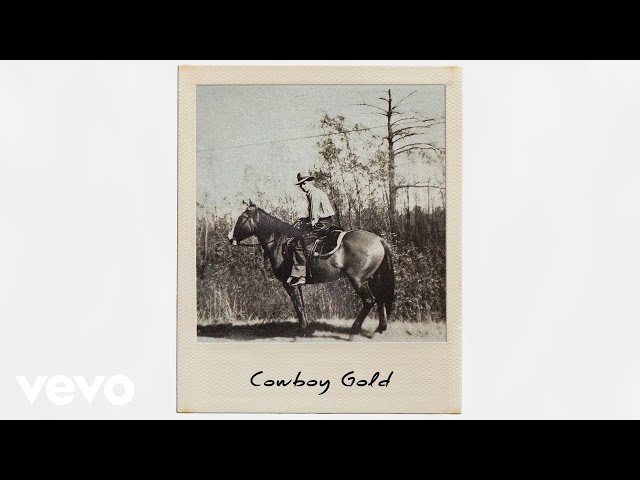 Brian Kelley - Cowboy Gold (Lyric Video)