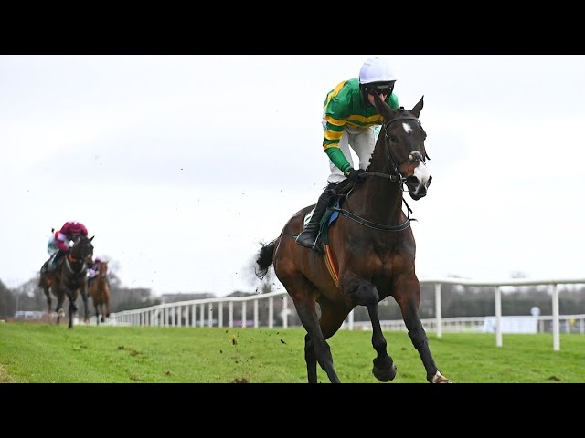 Worried Sir Gino fans? MAJBOROUGH lands Irish Arkle in a romp