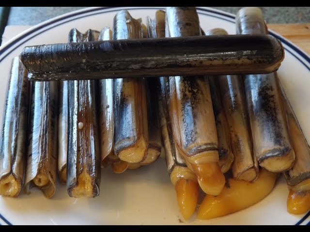 How To Catch And Cook Razor Clams.Seashore To Plate.