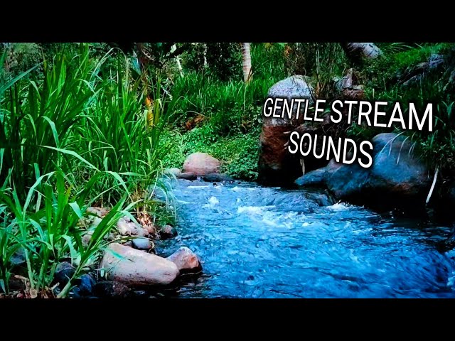 GENTLE STREAM SOUNDS RIVER SOUNDS FOR SLEEPP FOR STRESS RELIEVER FOR STUDY FOR RELAXATION