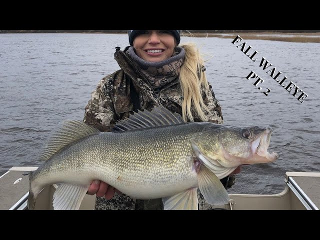 Insane Fall Walleye on Rainy River Part 2 | Biggest Fish of the YEAR!