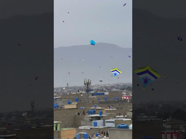 🔥Comment City🤔?uncountable kites🔥🤯#end level💯#big basant mela#viralshort