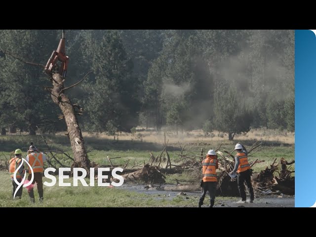 Large Wood Placement | Klamath River Restoration | Restoring at Scale | SERIES