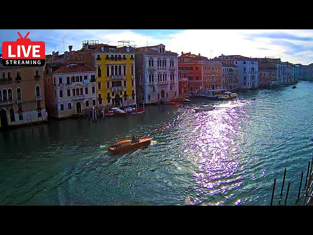 🔴 Venice Italy Live Camera - Grand Canal in Live Streaming from Ca' Angeli