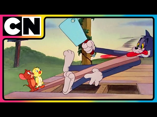 Tom and Jerry 😺🐭| The Clash of Claws and Paws! | Cat and The Mouse 😍| Kids Cartoon | @cnindia