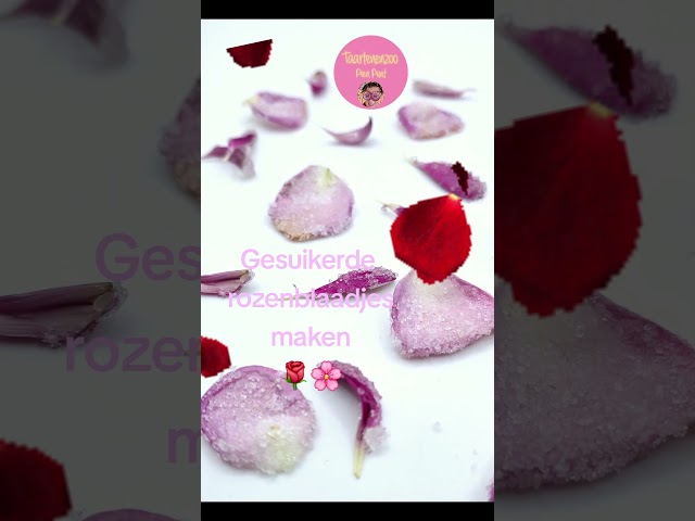 Gesuikerde rozenblaadjes maken🌹🩷