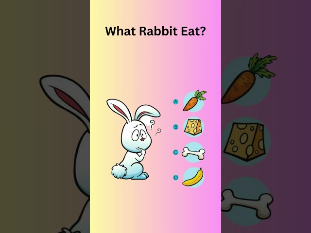 Help The Rabbit #34  #kids #dop2 #puzzlesforkids #gaming #gameplay # #games