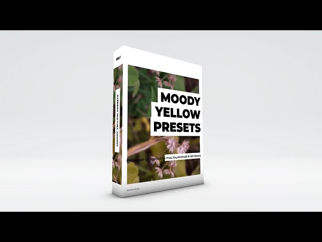 Moody Yellow Lightroom Presets / Free Download