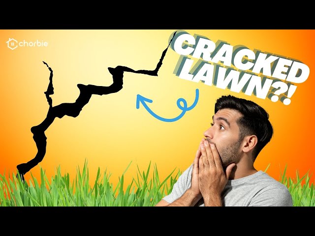 How to Fix a Cracked Lawn