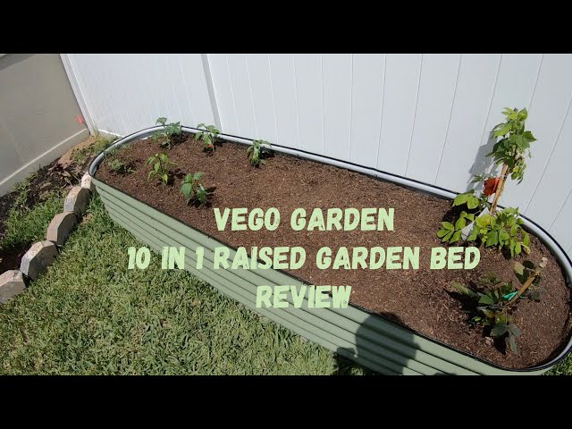 Vego Garden 10 in 1 Raised Garden Bed Install and Review