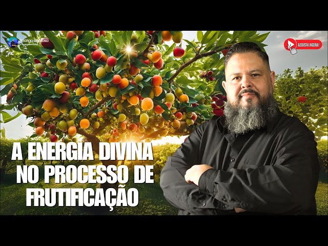 🌳Da Semente à Colheita: A Energia Divina que Nutre e Frutifica🌱🪴