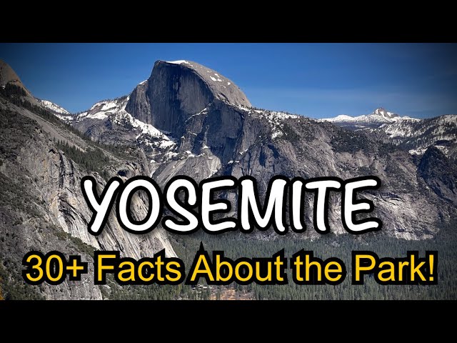 30 Interesting Facts about Yosemite National Park!