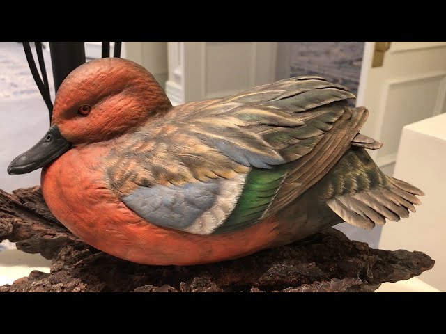 SEWE Wildlife Woodcarving Fine Art Show with Commentary at End