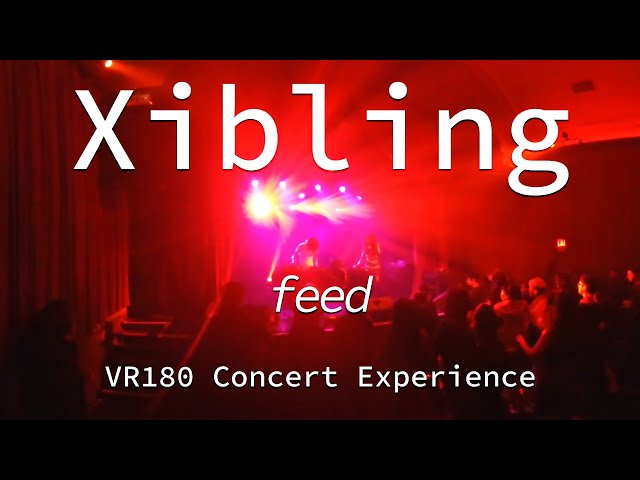 Xibling | Feed | Live VR180 Experience | April 10, 2019