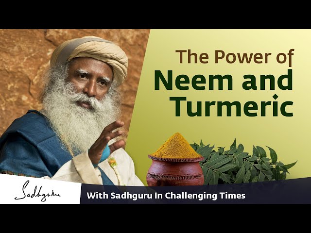 The Power of Neem and Turmeric