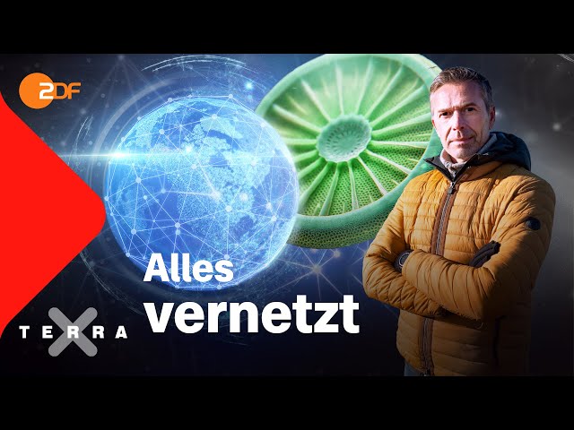 Warum nichts ohne das andere existiert | Dirk Steffens | Ganze Folge Terra X