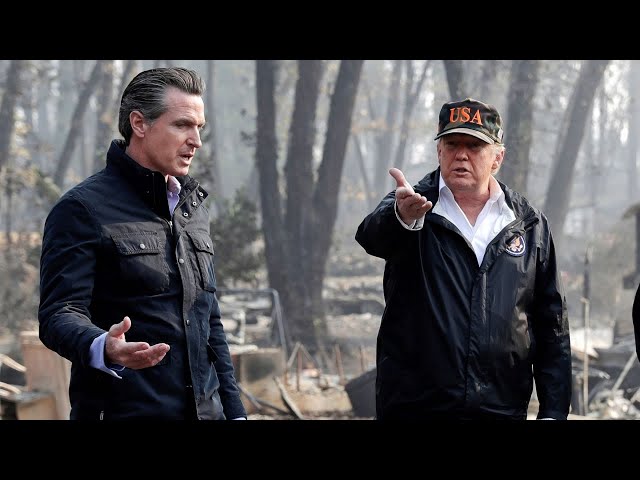 Trump points finger at Newsom for CA wildfires: 'He is the blame for this'