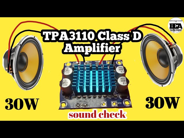 TPA3110 Class D Amplifier Sound Check | Audio Test & Review.#tpa3110