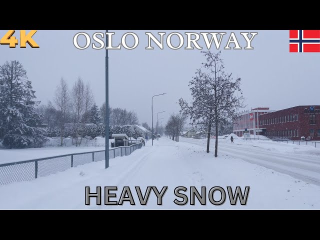 Heavy Snowfall ❄️ Winter Fairytale in Oslo, Norway | 4K Blizzard Wonderland