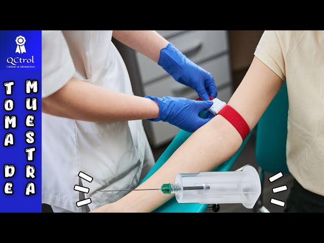 How to take a blood sample: Phlebotomy