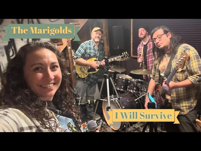 The Marigolds - "I Will Survive" (360° camera band rehearsal)