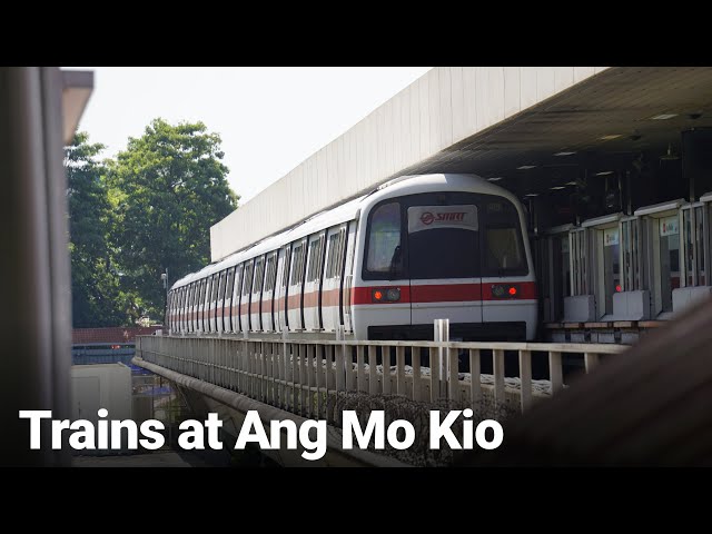 Trains at Ang Mo Kio