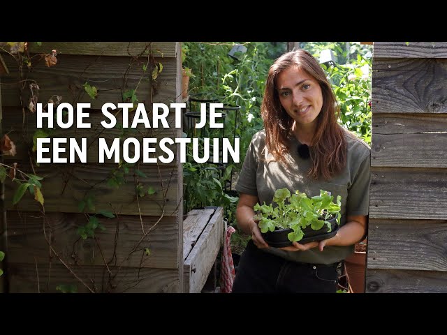 Hoe start je een moestuin? | Floor Korte