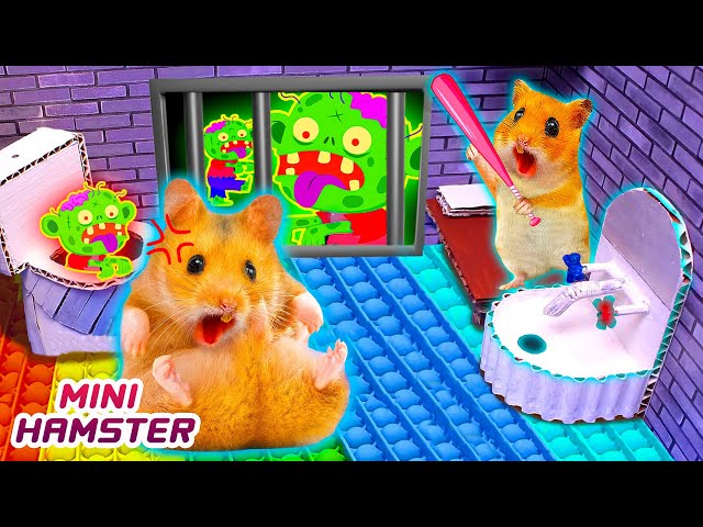 🐹Hamster Escapes The Awesome Pop It Prison Maze For Pets In Real Life |  MINI HAMSTER