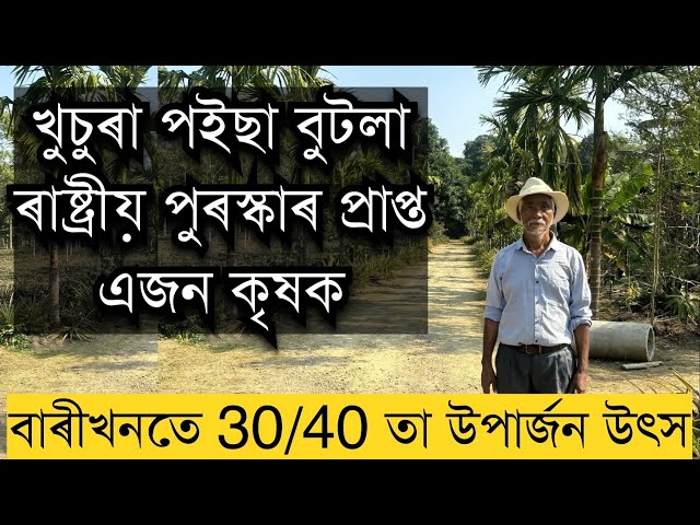 খুচুৰা পইছা বুটলা ৰাষ্ট্ৰীয় পুৰস্কাৰপ্ৰাপ্ত কৃষক জয়দট কোঁৱৰ।Composite farm in Assam #farming #farm