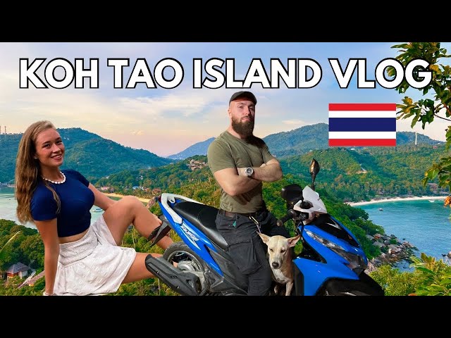 A Week In Koh Tao Island | Secret mountain top party, famous view points & more! 🇹🇭