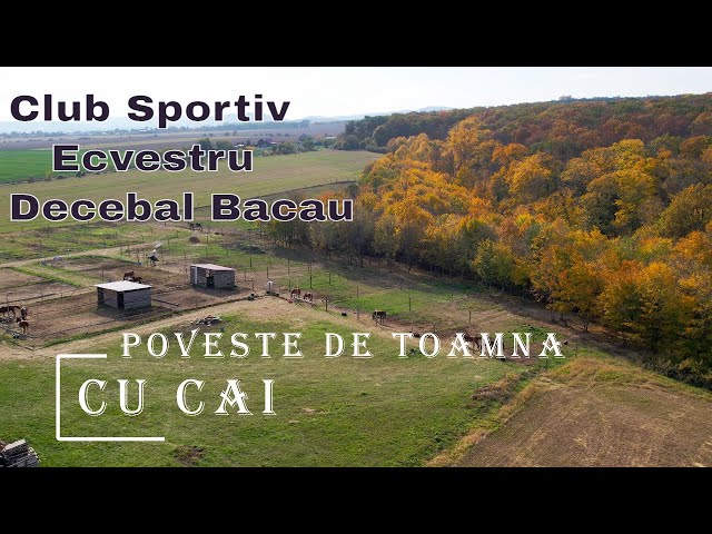 Poveste de toamna cu cai.Club Sportiv Ecvestru Decebal Bacau