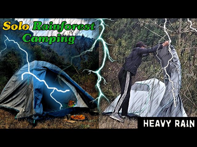 Solo Winter Rain Camping In Uttarakhand Forest| Camping&Cooking| Winter Rain Camping| Pahadi Camper